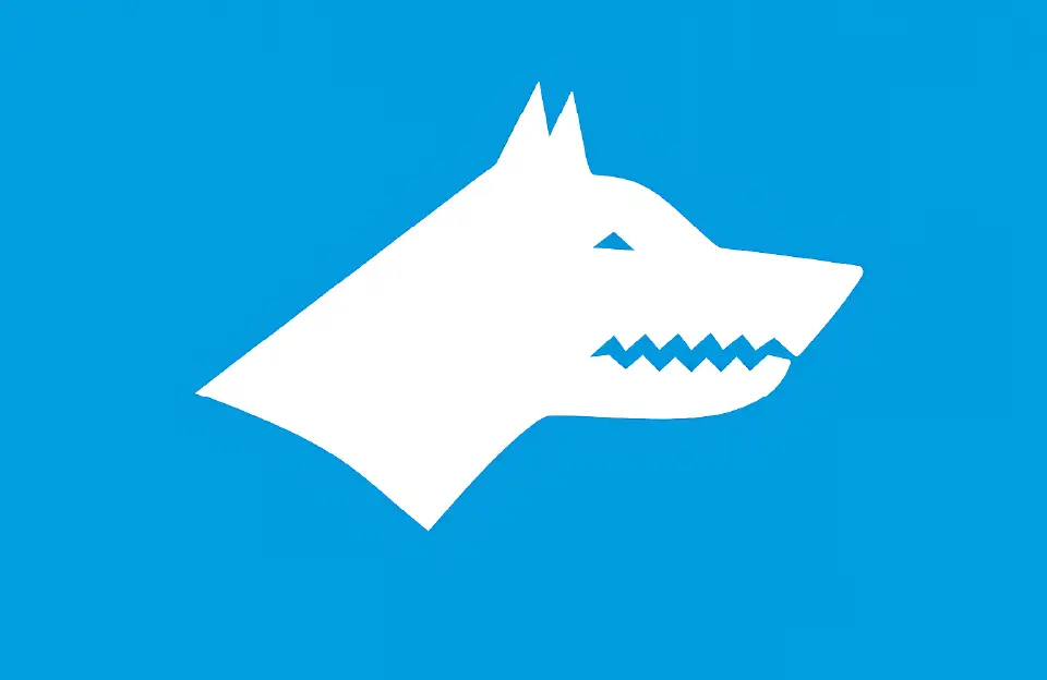 Ultimate Guide: Learn Turkish Fluently in 100 Proven Topics 3 turkish gokturkler